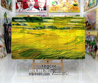 Tranh Tây Bắc TBQC66
