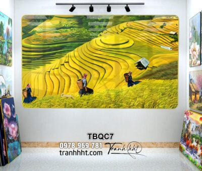 Tranh Tây Bắc TBQC7