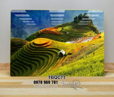 Tranh Tây Bắc TBQC71