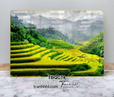 Tranh Tây Bắc TBQC74