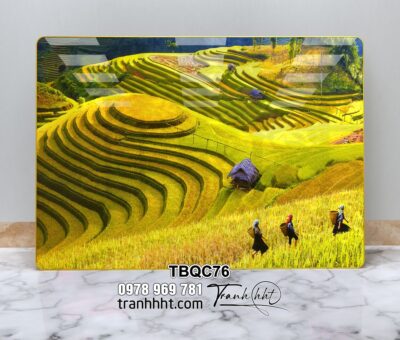 Tranh Tây Bắc TBQC76