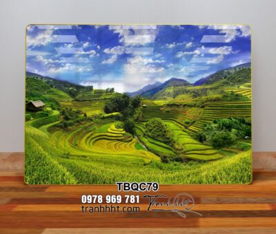 Tranh Tây Bắc TBQC79
