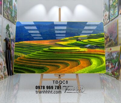 Tranh Tây Bắc TBQC8