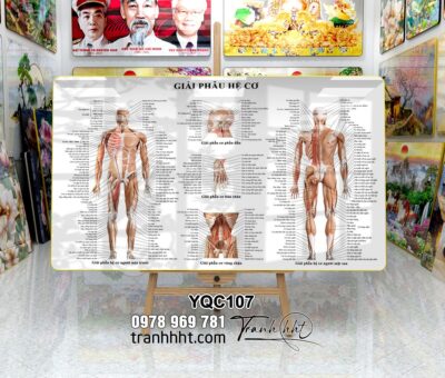 Tranh Y Khoa YQC107