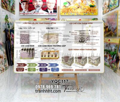 Tranh Y Khoa YQC117