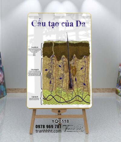 Tranh Y Khoa YQC118