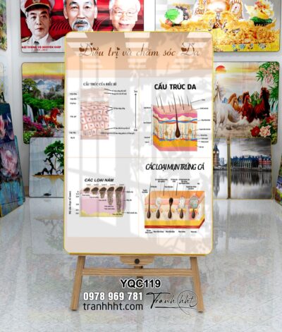 Tranh Y Khoa YQC119