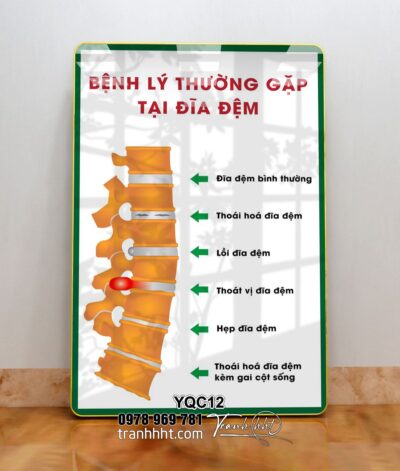 Tranh Y Khoa YQC12