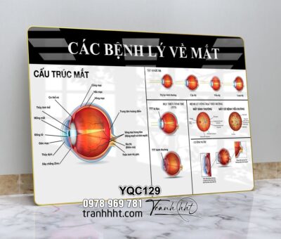 Tranh Y Khoa YQC129