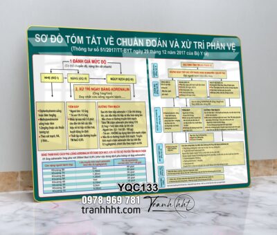 Tranh Y Khoa YQC133