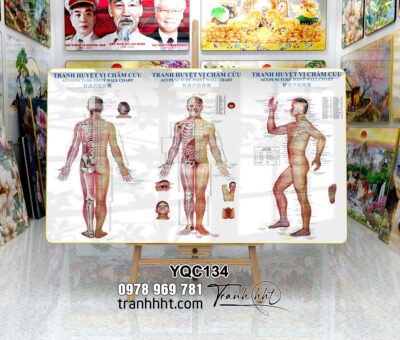 Tranh Y Khoa YQC134