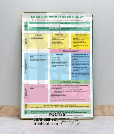 Tranh Y Khoa YQC135