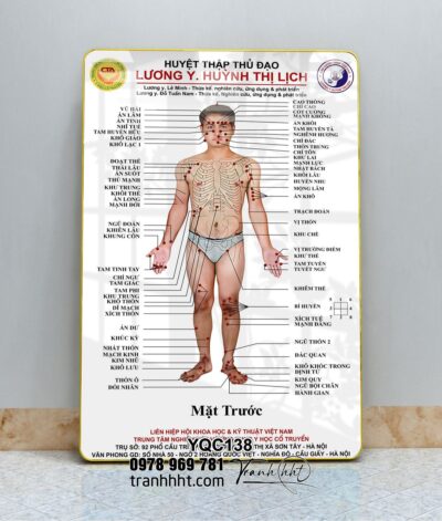 Tranh Y Khoa YQC138