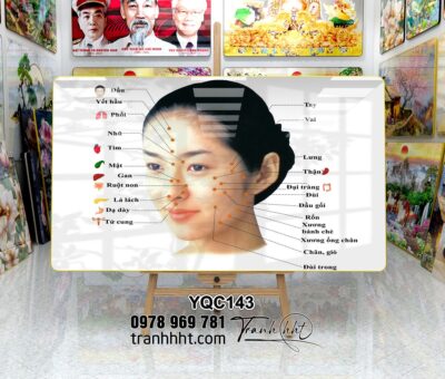 Tranh Y Khoa YQC143