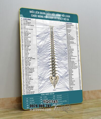Tranh Y Khoa YQC145