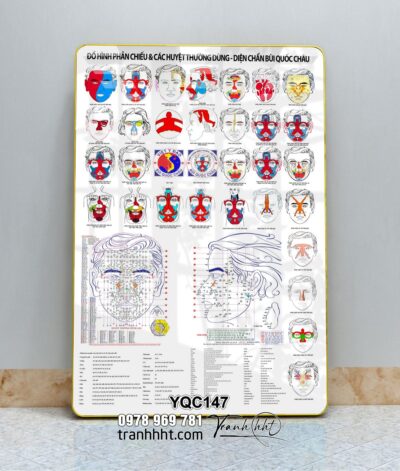 Tranh Y Khoa YQC147