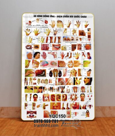 Tranh Y Khoa YQC150