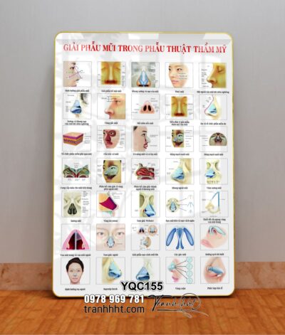 Tranh Y Khoa YQC155
