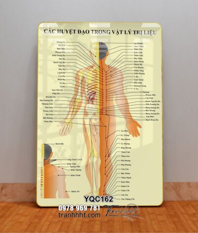 Tranh Y Khoa YQC162