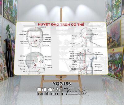 Tranh Y Khoa YQC163