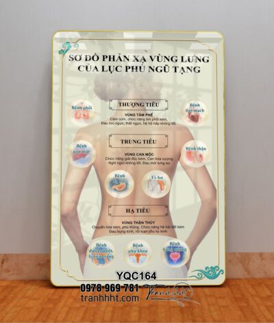 Tranh Y Khoa YQC164
