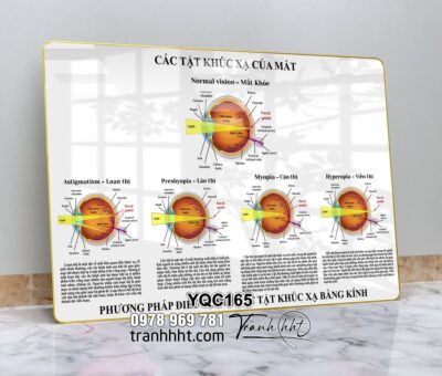 Tranh Y Khoa YQC165