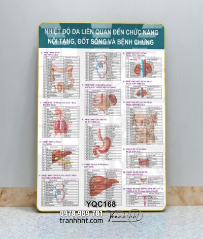 Tranh Y Khoa YQC168