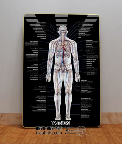 Tranh Y Khoa YQC169