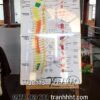 Tranh phòng khám y khoa y tế, Tranh Y khoa sơ đồ hệ thần kinh trung ương và ngoại biên tráng gương treo tường YQC175
