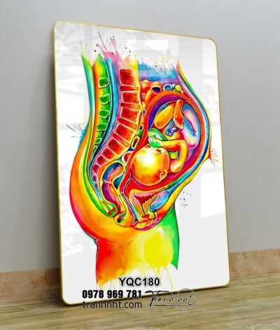 Tranh Y Khoa YQC180