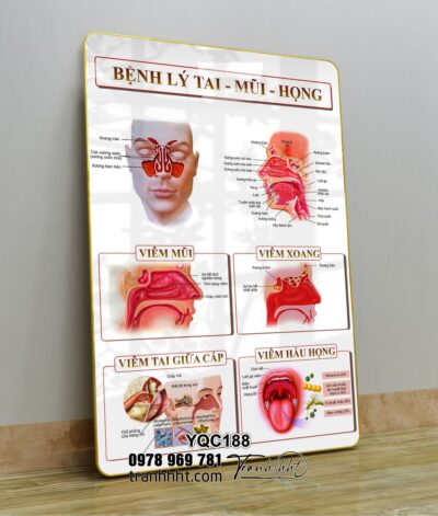 Tranh Y Khoa YQC188