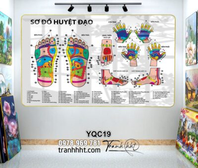 Tranh Y Khoa YQC19