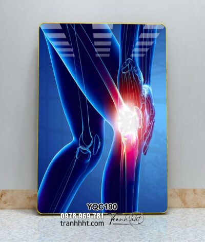 Tranh Y Khoa YQC190