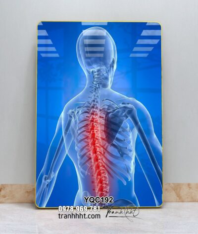 Tranh Y Khoa YQC192