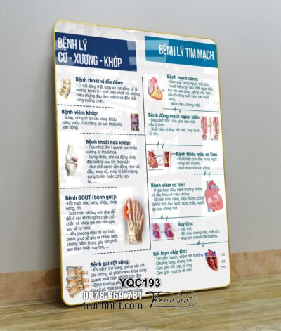 Tranh Y Khoa YQC193