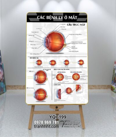 Tranh Y Khoa YQC199