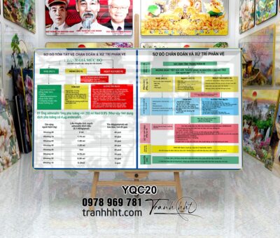 Tranh Y Khoa YQC20