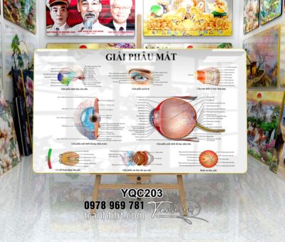 Tranh Y Khoa YQC203