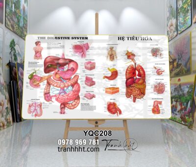 Tranh Y Khoa YQC208
