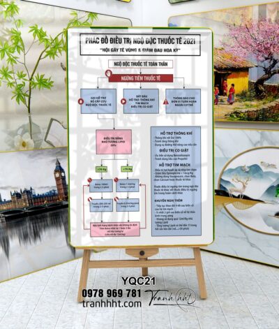 Tranh Y Khoa YQC21