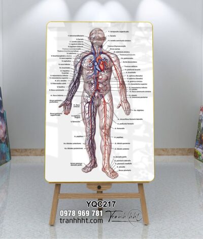 Tranh Y Khoa YQC217