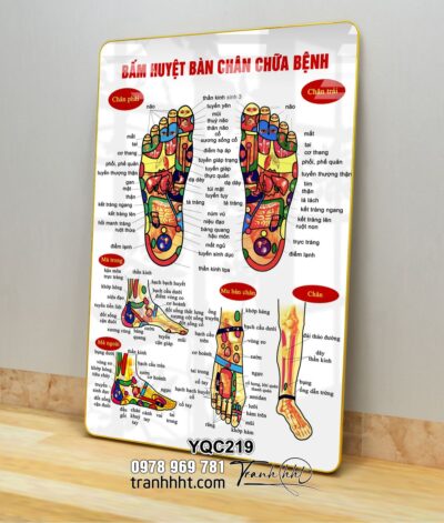 Tranh Y Khoa YQC219