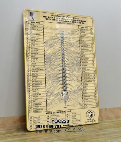 Tranh Y Khoa YQC220