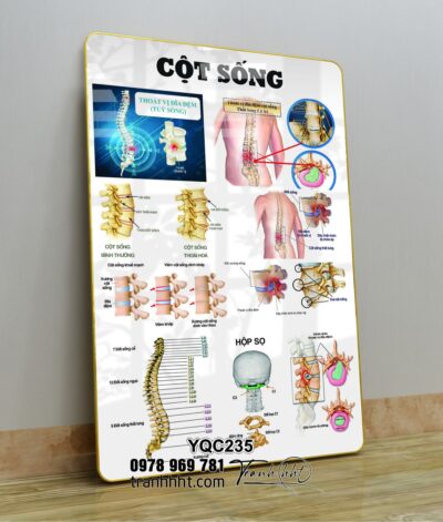 Tranh Y Khoa YQC235