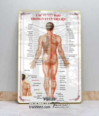 Tranh Y Khoa YQC26