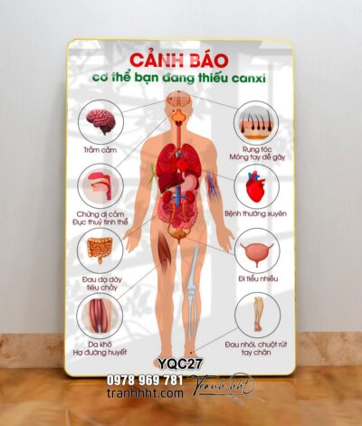 Tranh Y Khoa YQC27