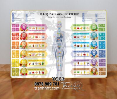 Tranh Y Khoa YQC3