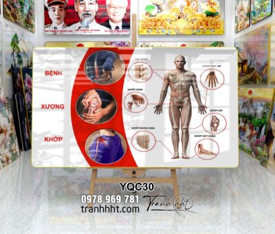 Tranh Y Khoa YQC30