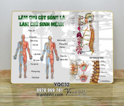Tranh Y Khoa YQC32