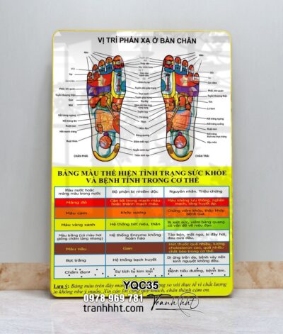 Tranh Y Khoa YQC35